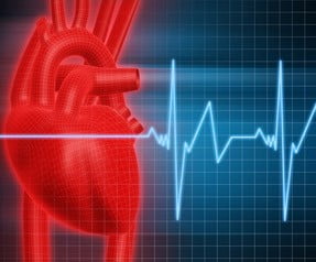 20110302091510_heart