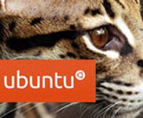 20110309073102_ubuntu