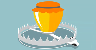 Honey Pot Nedir? Honey Pot Nedir?