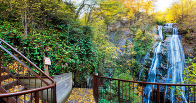 Doğanın Güzelliğiyle Buluşun: Düzce’nin Güzeldere Şelalesi